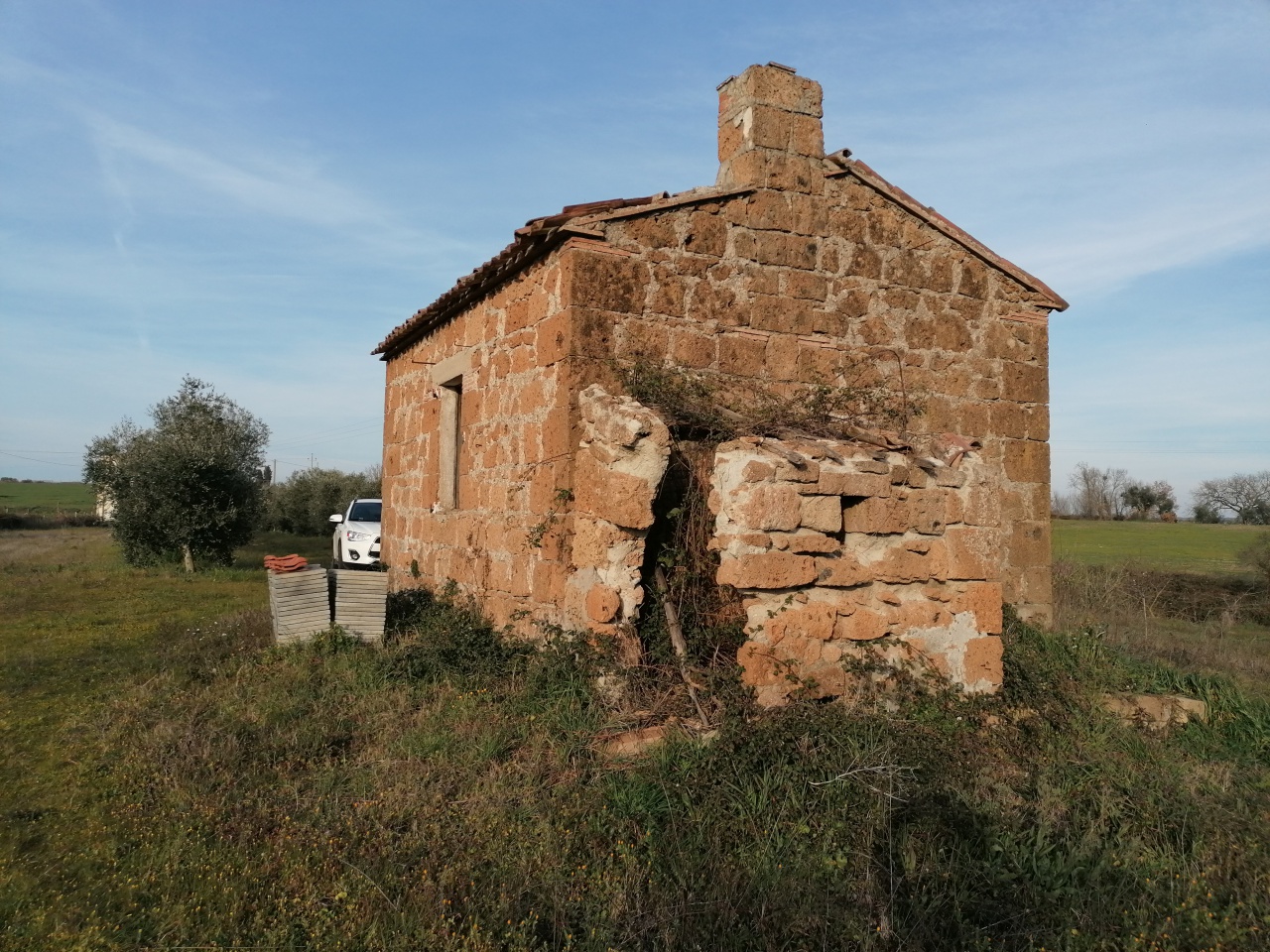 Terreno con giardino a Pitigliano