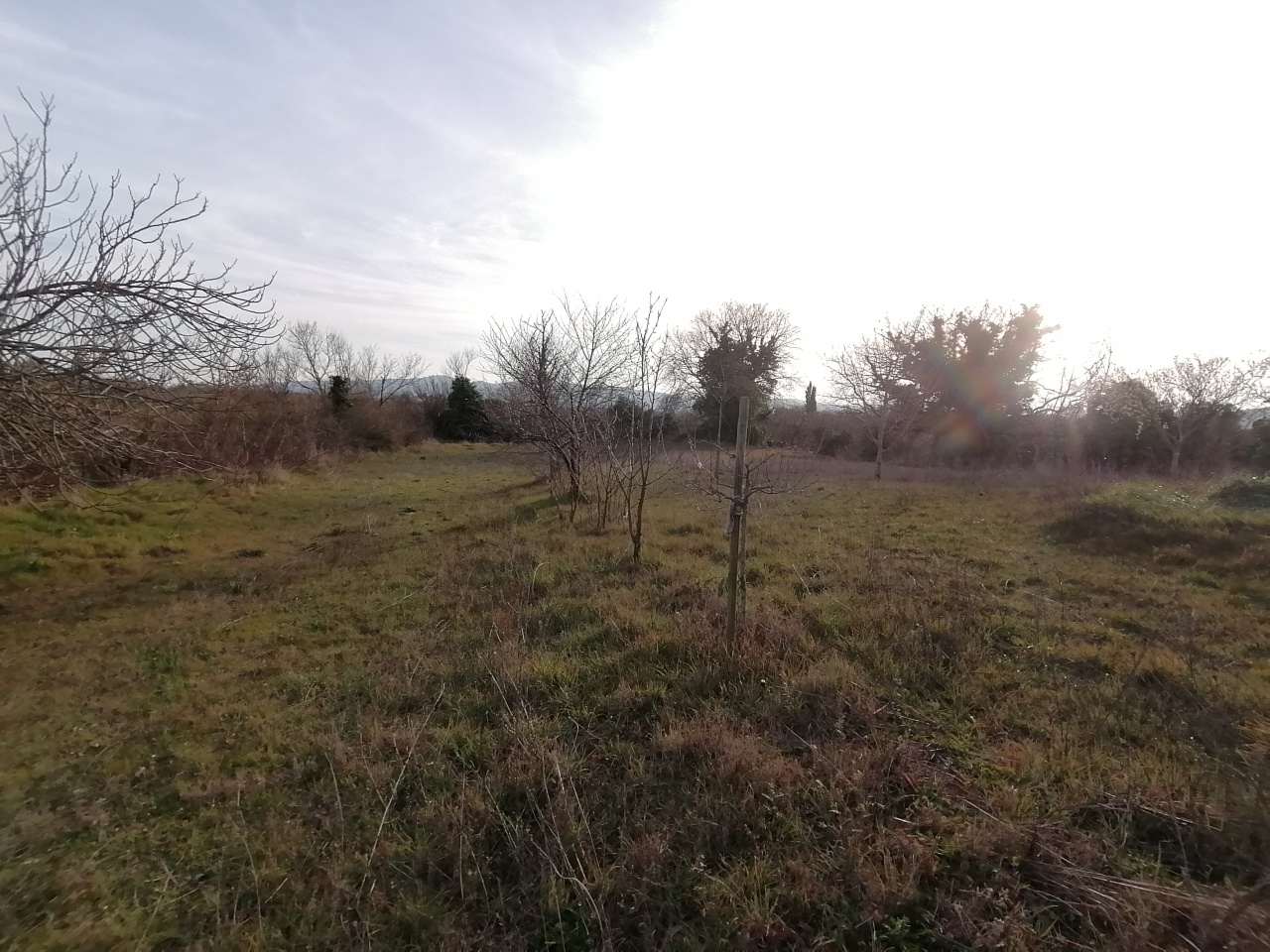 Terreno con giardino a Pitigliano