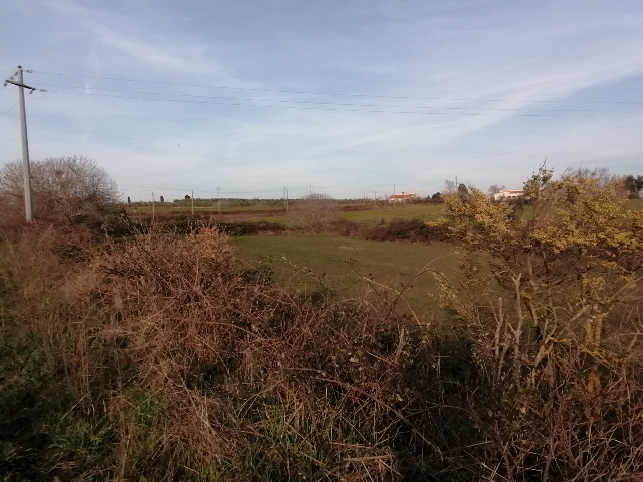 Terreno con giardino a Pitigliano