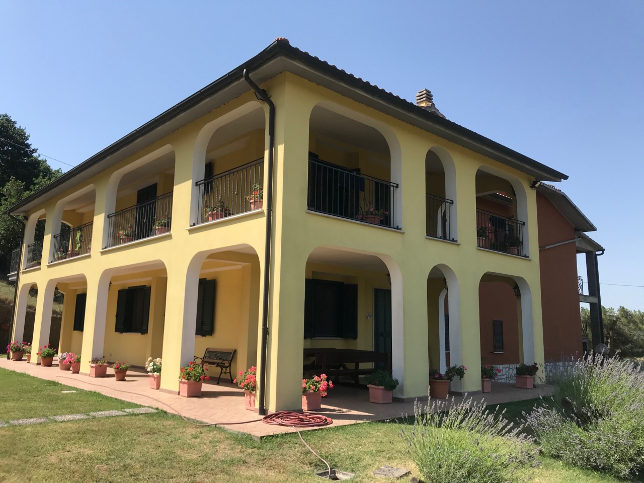immagine annuncio 1 di 10
