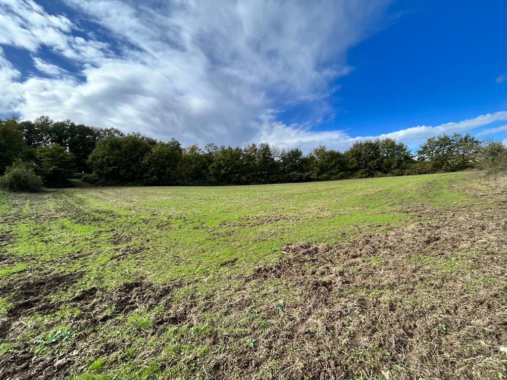 Terreno in vendita a Sorano