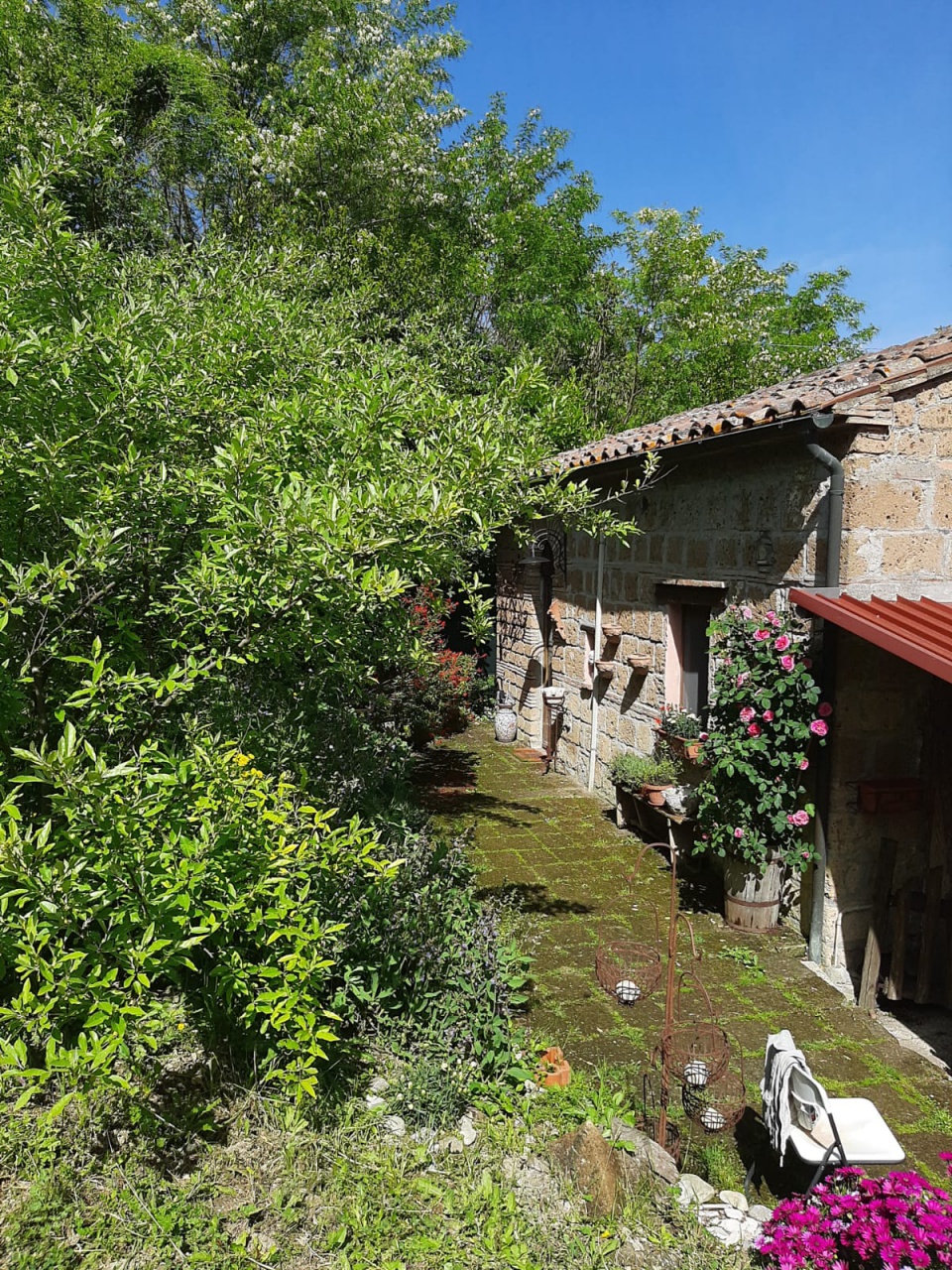 Rustico con giardino a Proceno