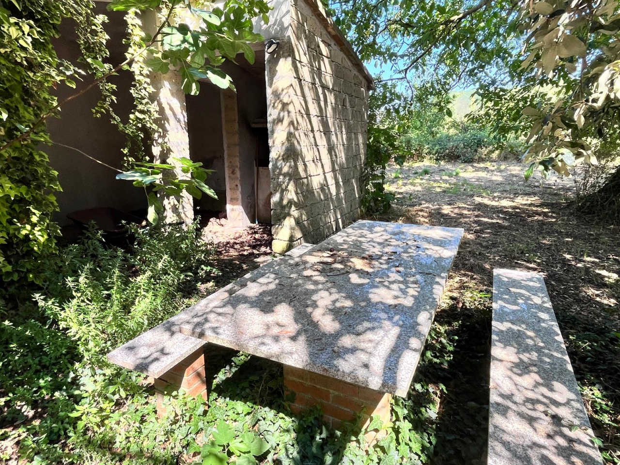 Appartamento con giardino a Pitigliano