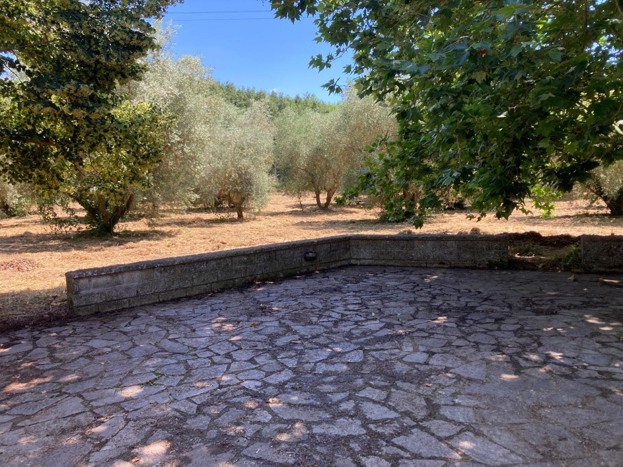 Appartamento con giardino a Pitigliano