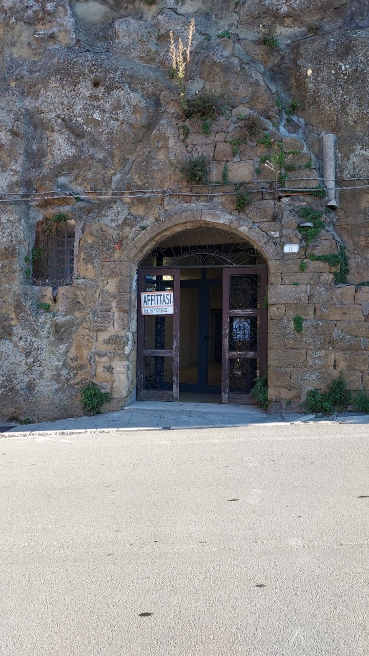 Negozio in affitto a Pitigliano