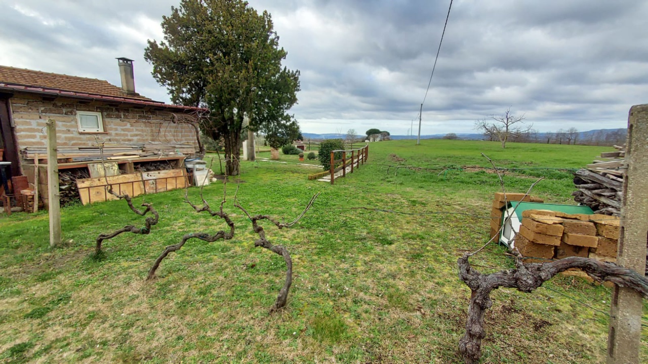 Terreno con giardino a Pitigliano