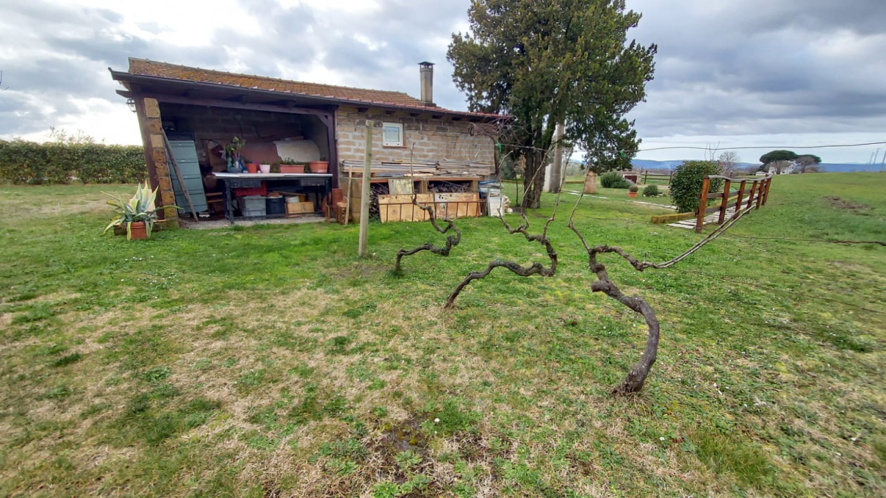 Terreno con giardino a Pitigliano