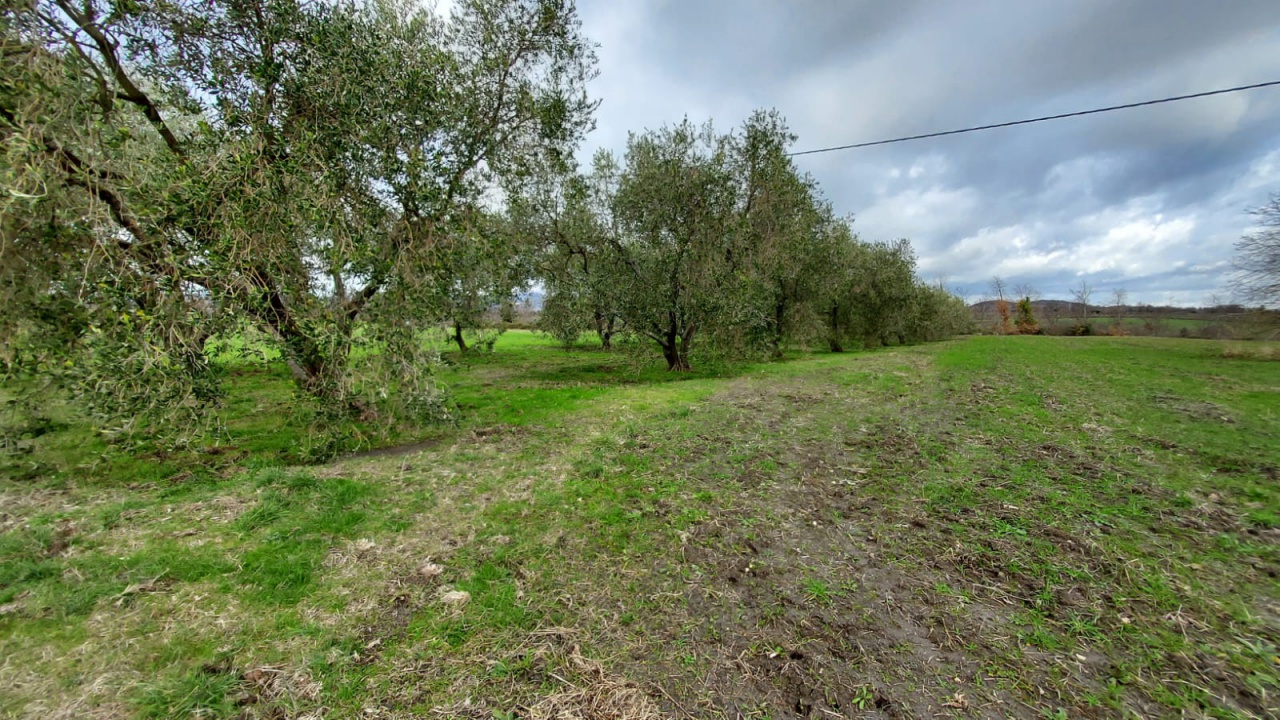 Terreno con giardino a Pitigliano