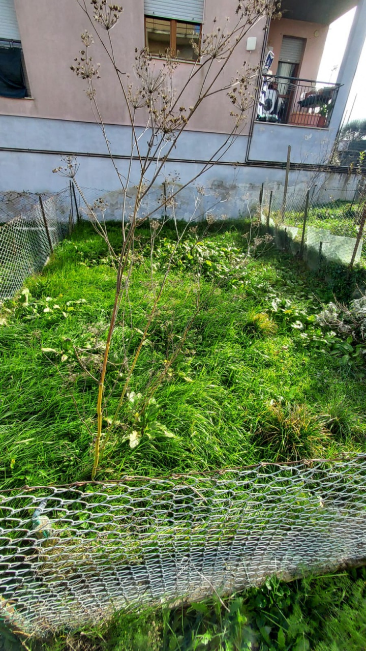 Appartamento in vendita a Pitigliano