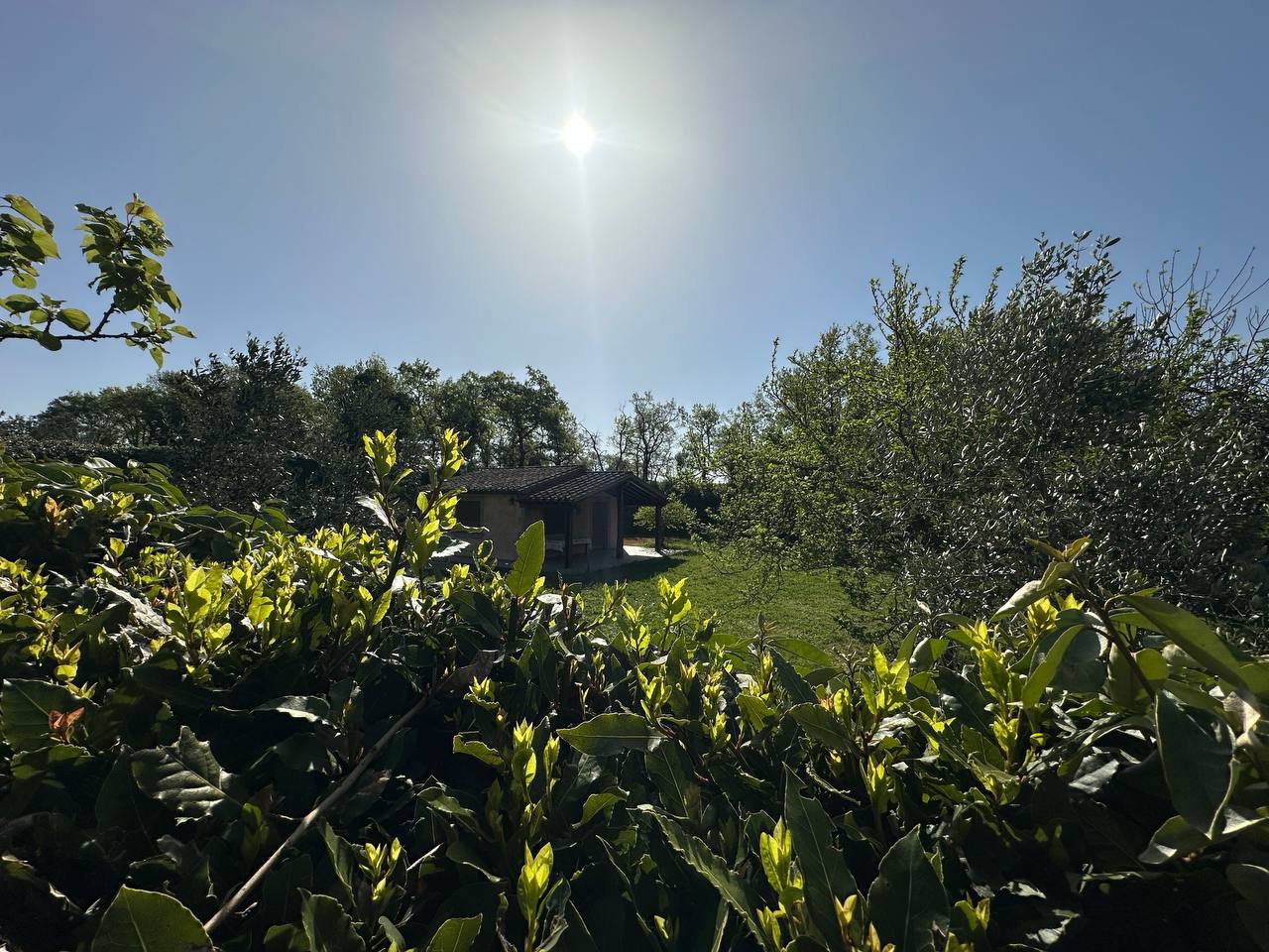 Rustico con giardino a Sorano