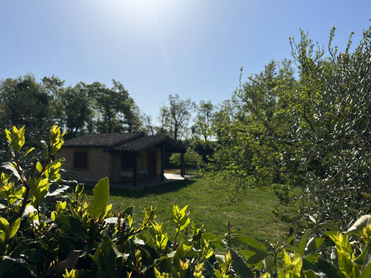 Rustico con giardino a Sorano