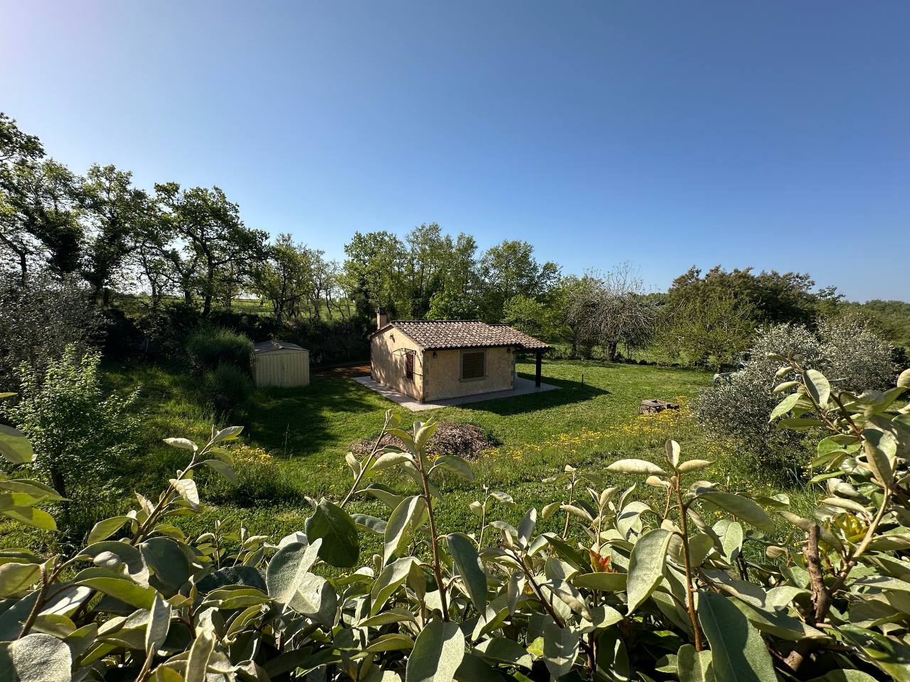 Rustico con giardino a Sorano