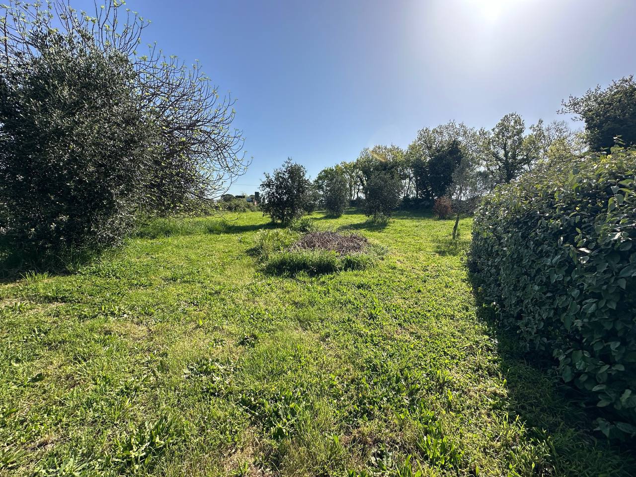 Rustico con giardino a Sorano