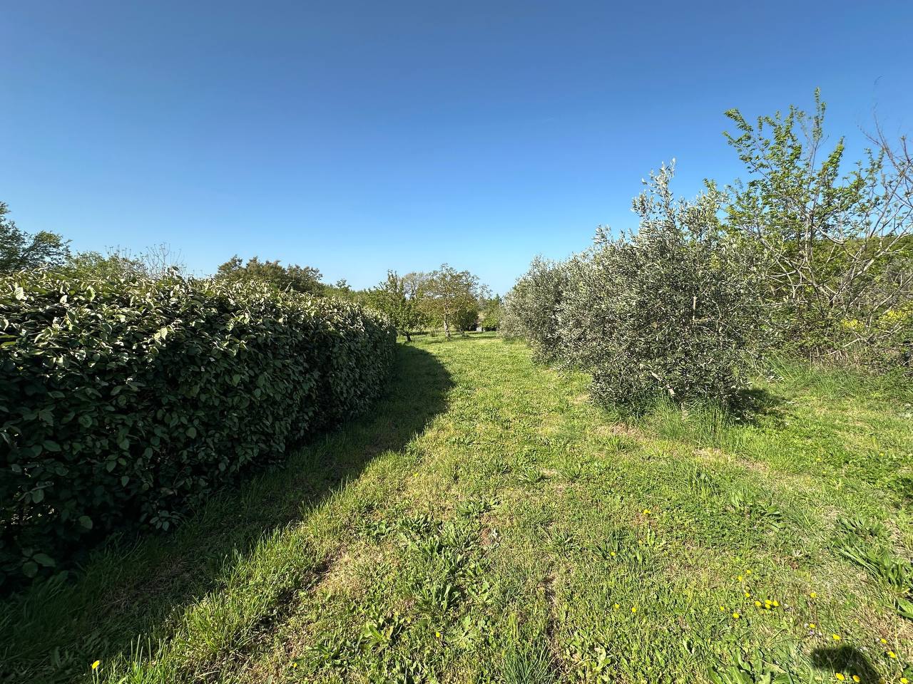 Rustico con giardino a Sorano