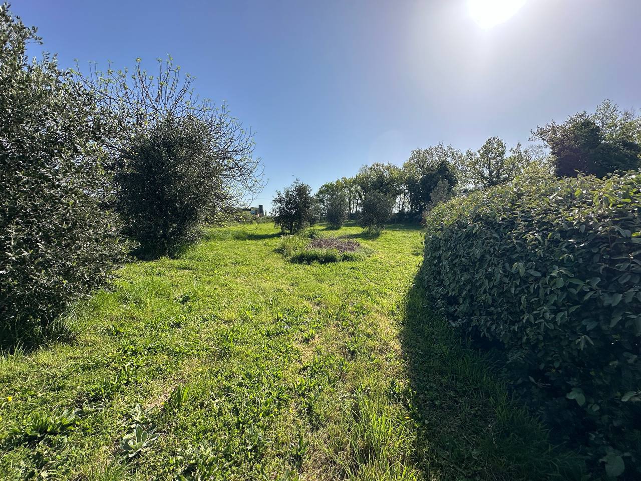 Rustico con giardino a Sorano