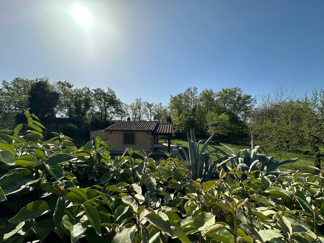 Rustico con giardino a Sorano