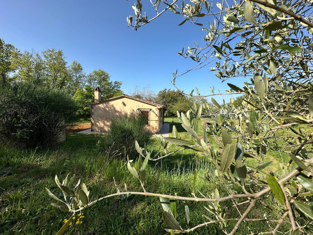 Rustico con giardino a Sorano