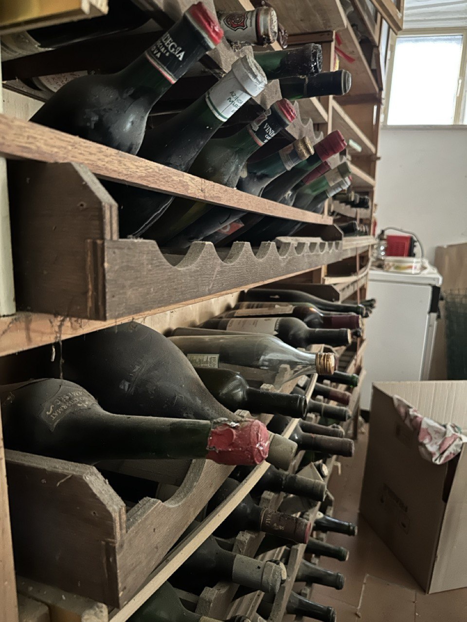 Laboratorio in vendita a Pitigliano