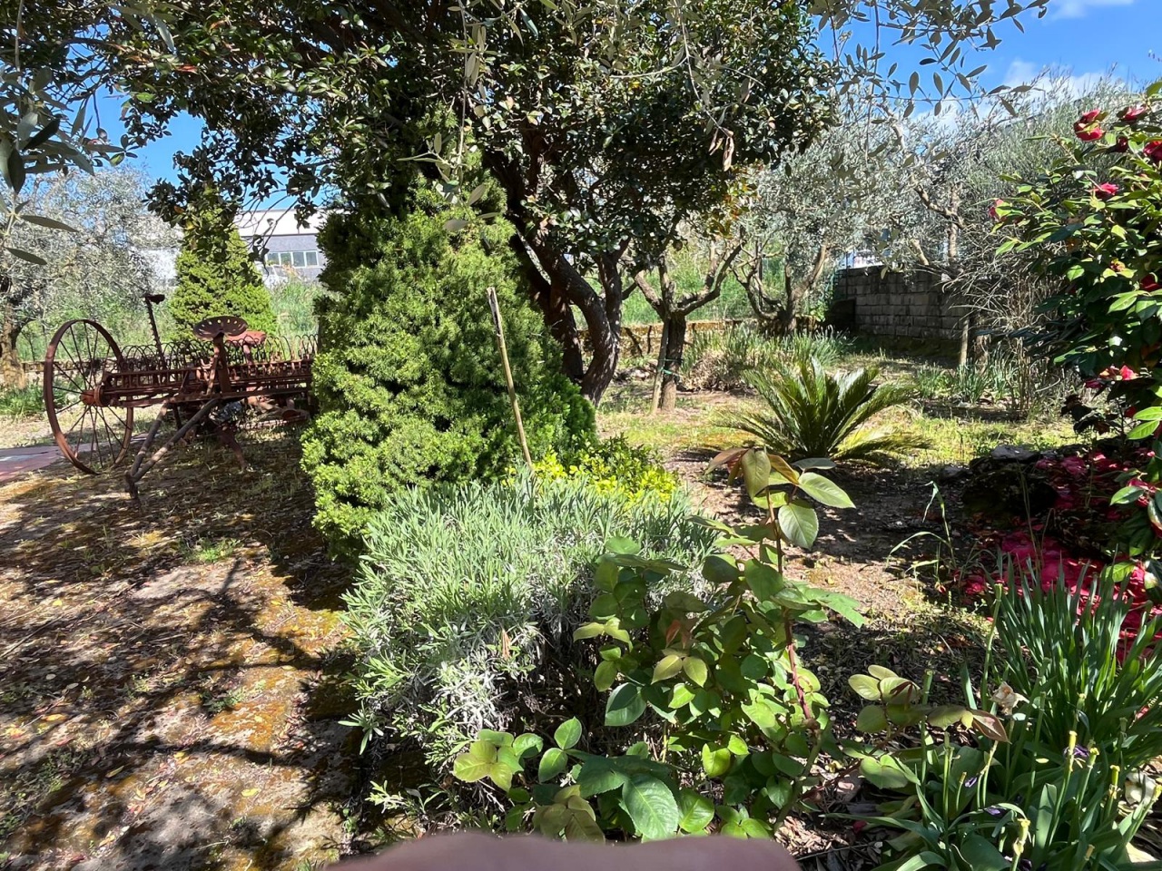 Capannone con giardino a Sorano