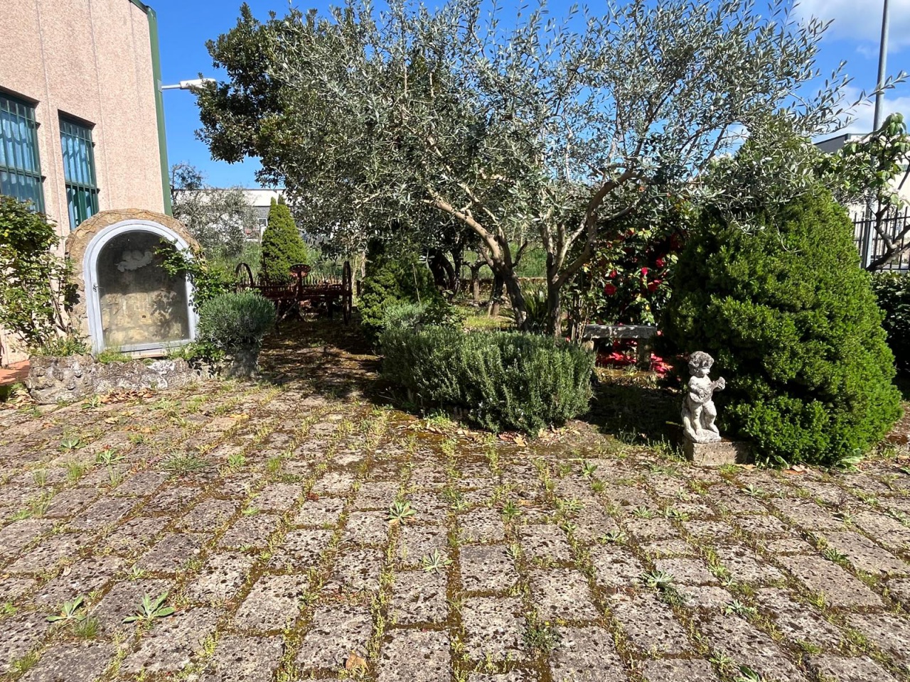 Capannone con giardino a Sorano