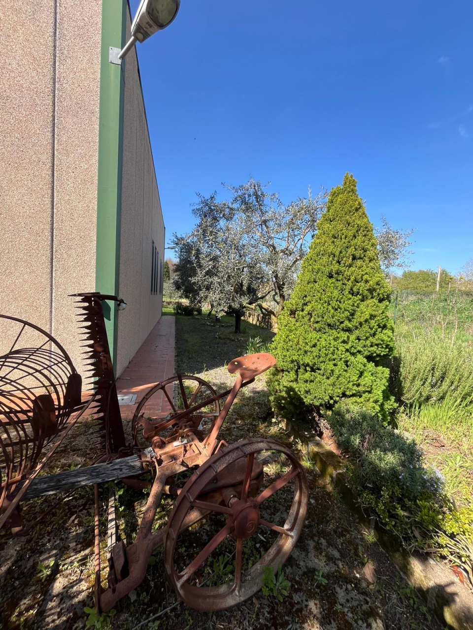 Capannone con giardino a Sorano