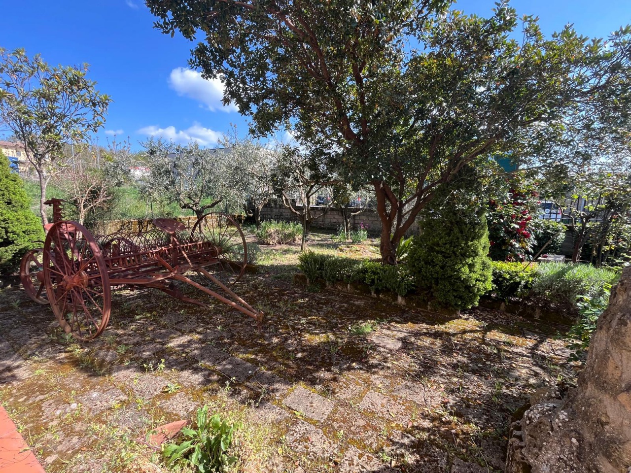 Capannone con giardino a Sorano