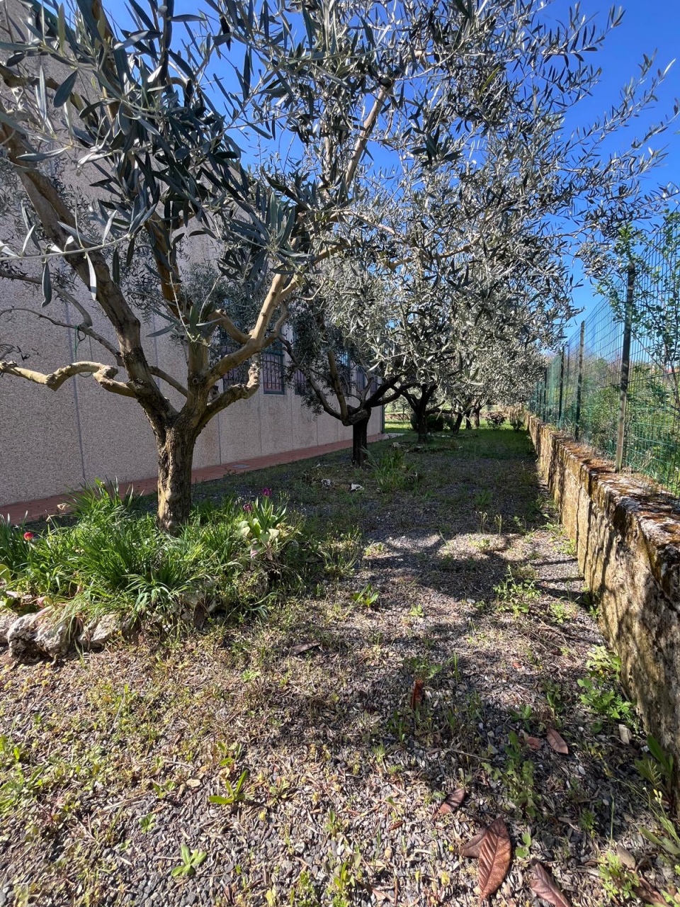 Capannone con giardino a Sorano