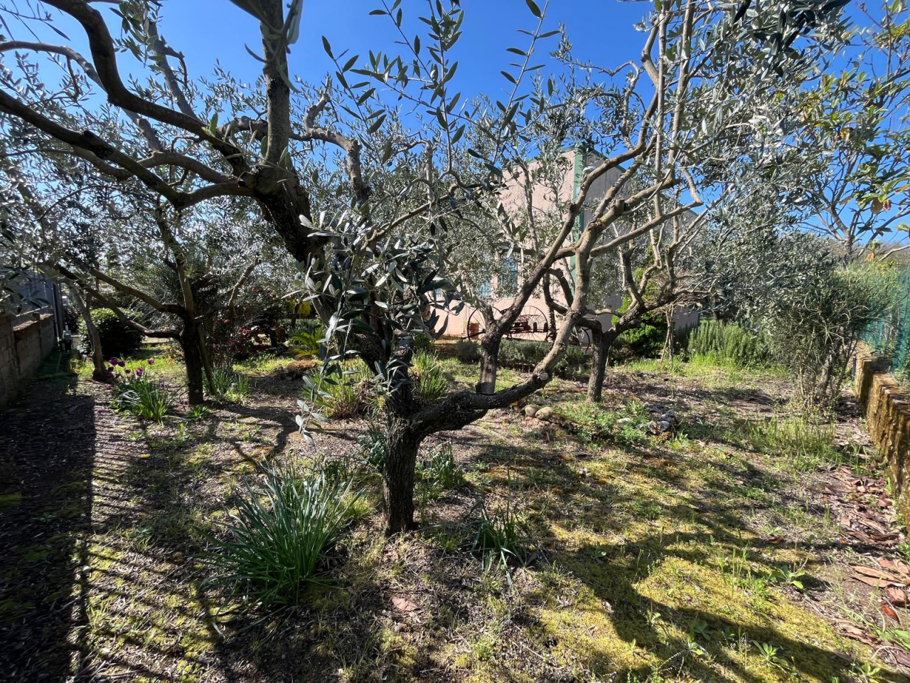 Capannone con giardino a Sorano