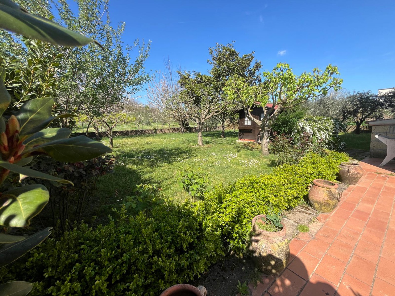 Capannone con giardino a Sorano
