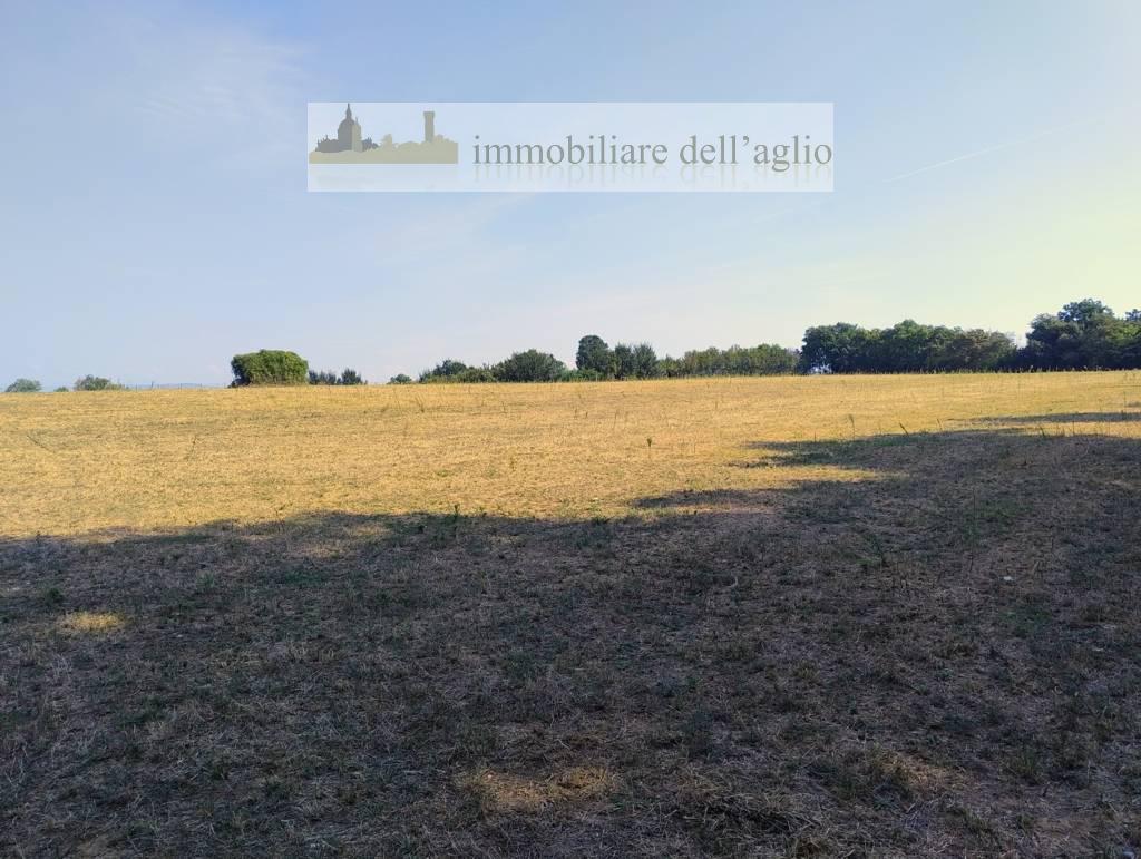 Terreno Agricolo in vendita a Lonato