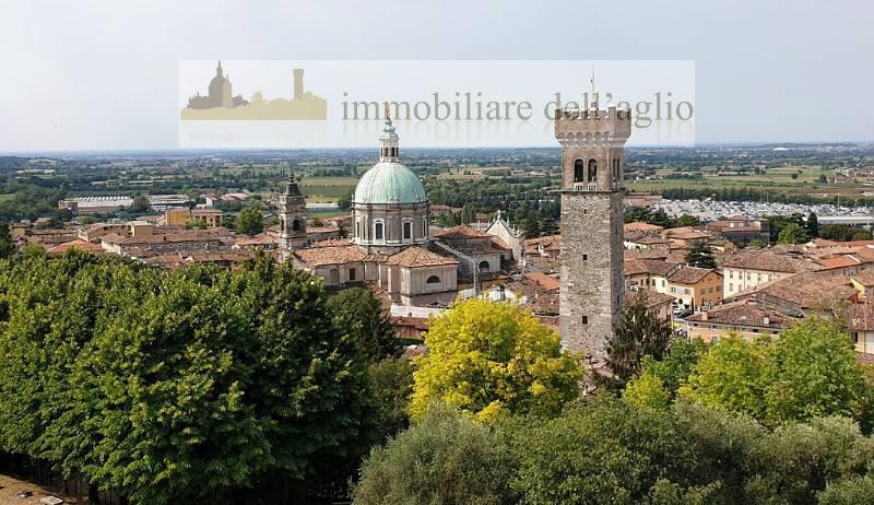 Villa con giardino a Lonato