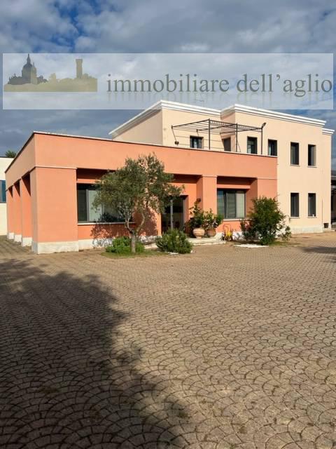 Capannone nuova a Carpenedolo