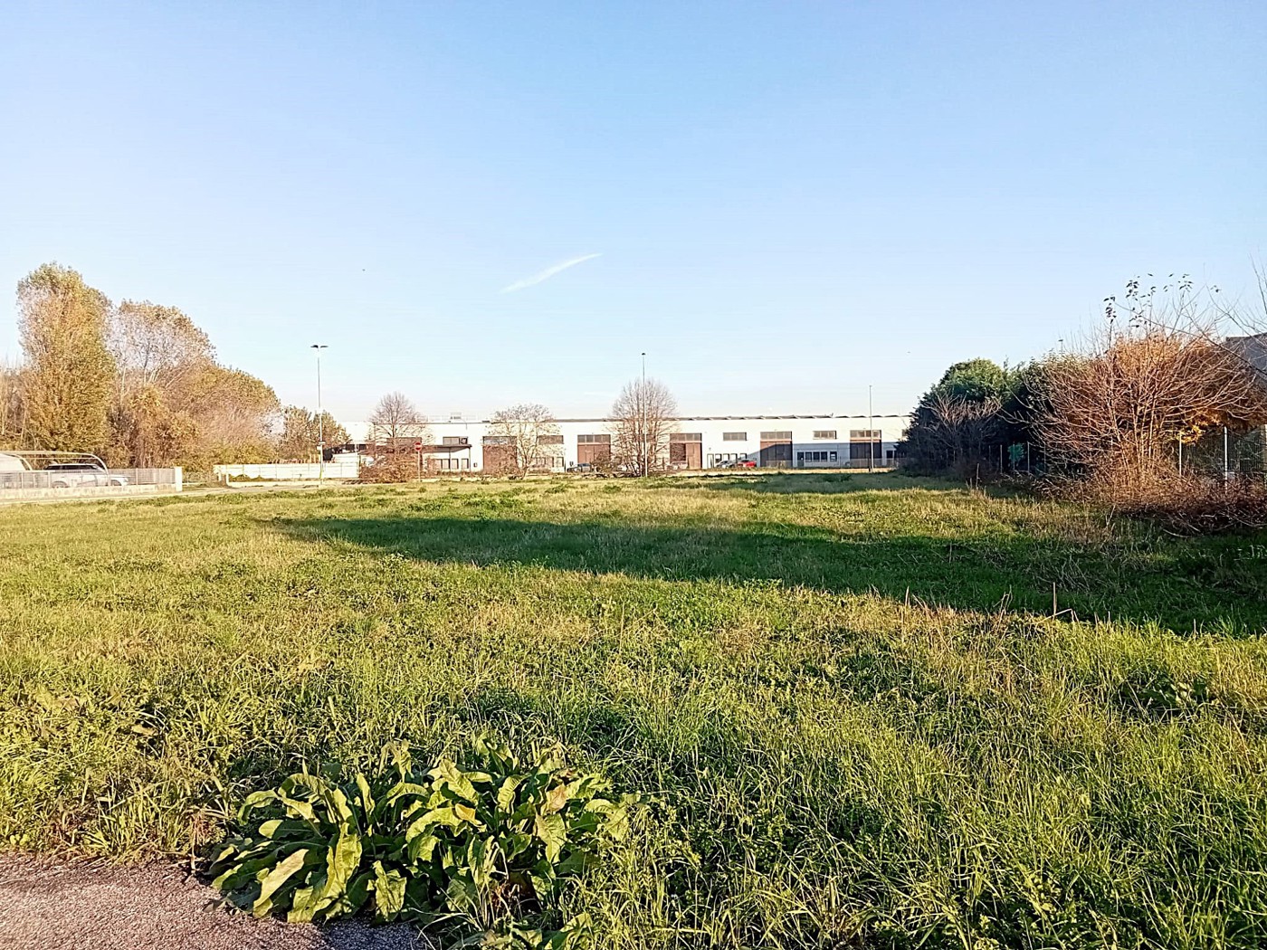 Terreno Edificabile in vendita a Borgo Veneto