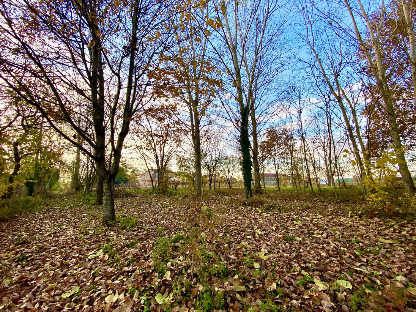 Rustico da ristrutturare a Villa Estense