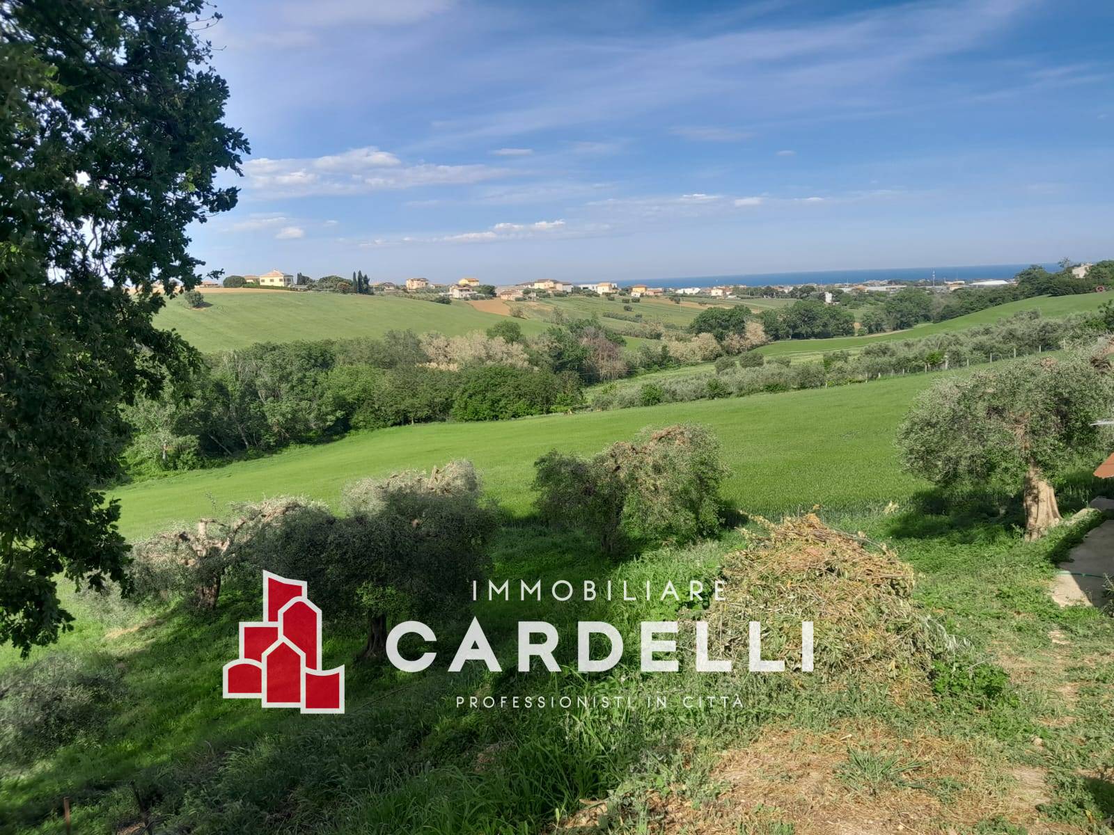 Capannone in vendita a Sant'Elpidio a Mare, Periferia