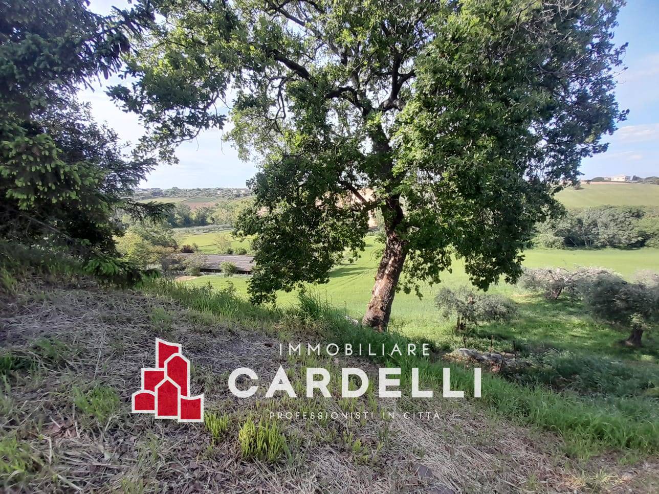 Capannone in vendita a Sant'Elpidio a Mare, Periferia