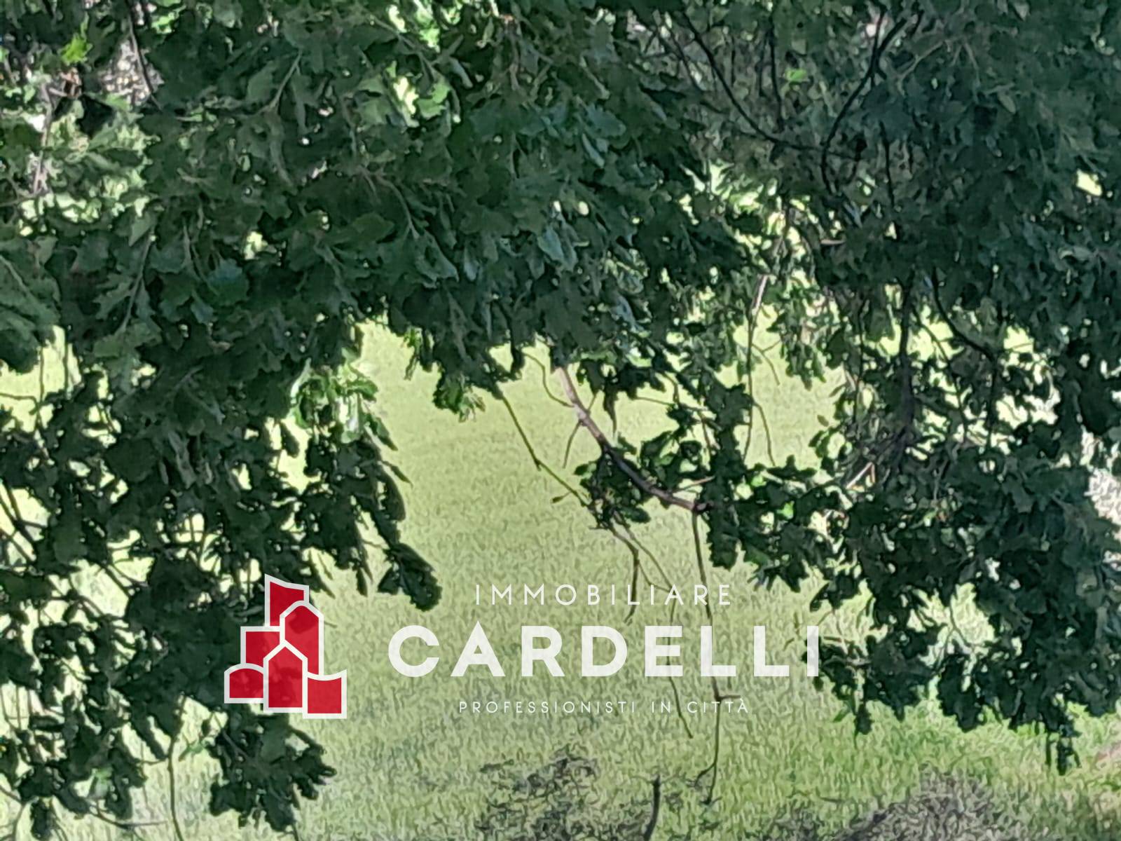 Capannone in vendita a Sant'Elpidio a Mare, Periferia