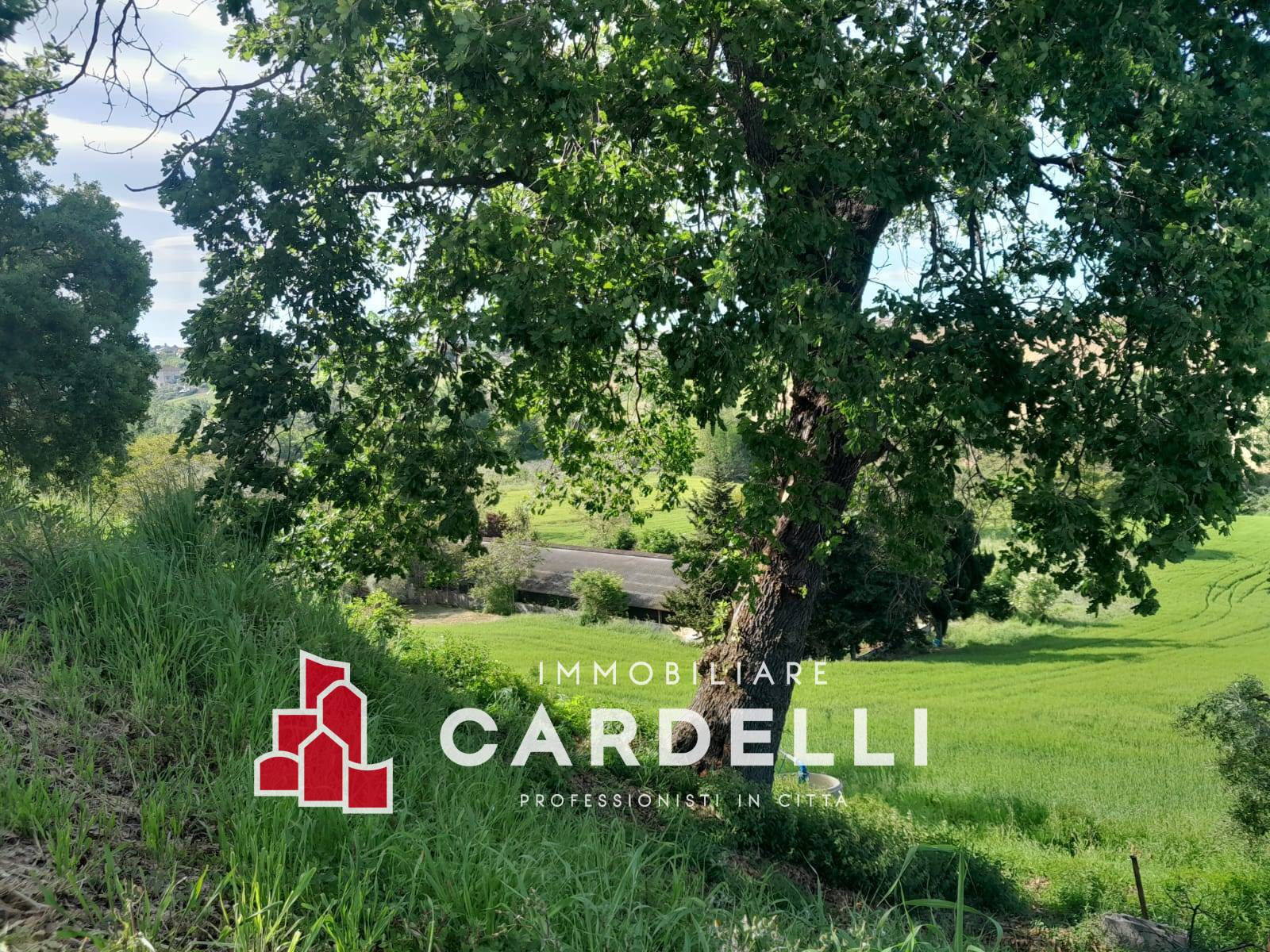 Capannone in vendita a Sant'Elpidio a Mare, Periferia