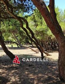 Attivit commerciale in vendita a Porto Sant'Elpidio