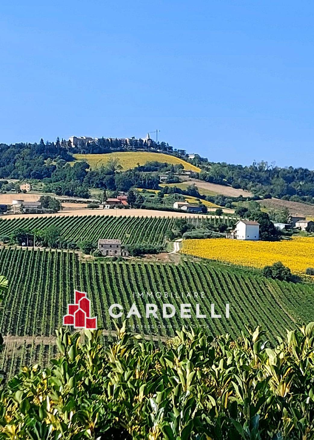 Casa singola in vendita a Monte Rinaldo