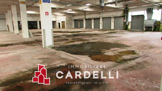 Capannone in vendita a Treia
