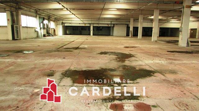 Capannone in vendita a Treia
