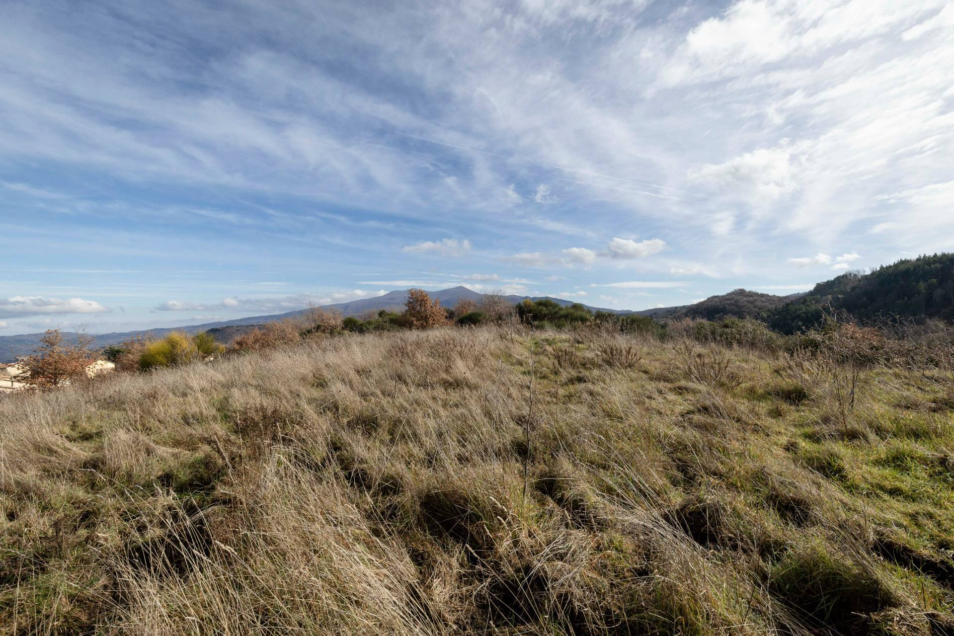 Casa colonica in vendita a Cinigiano