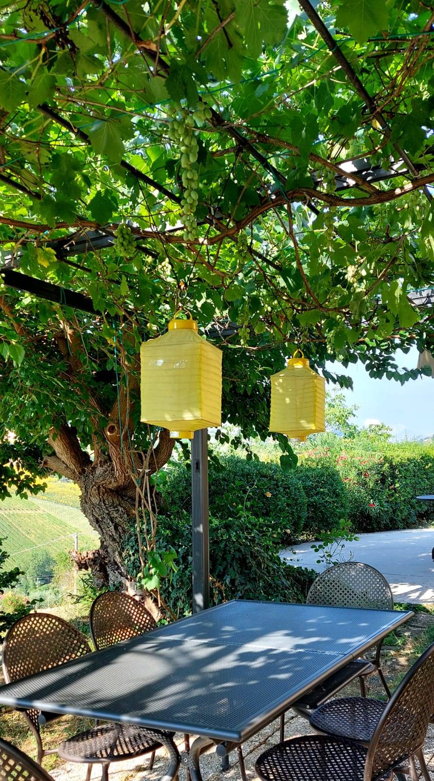 Casa singola in vendita a Monte Rinaldo