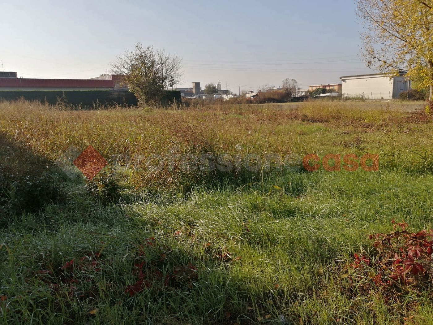Terreno Agricolo in vendita a Cerea