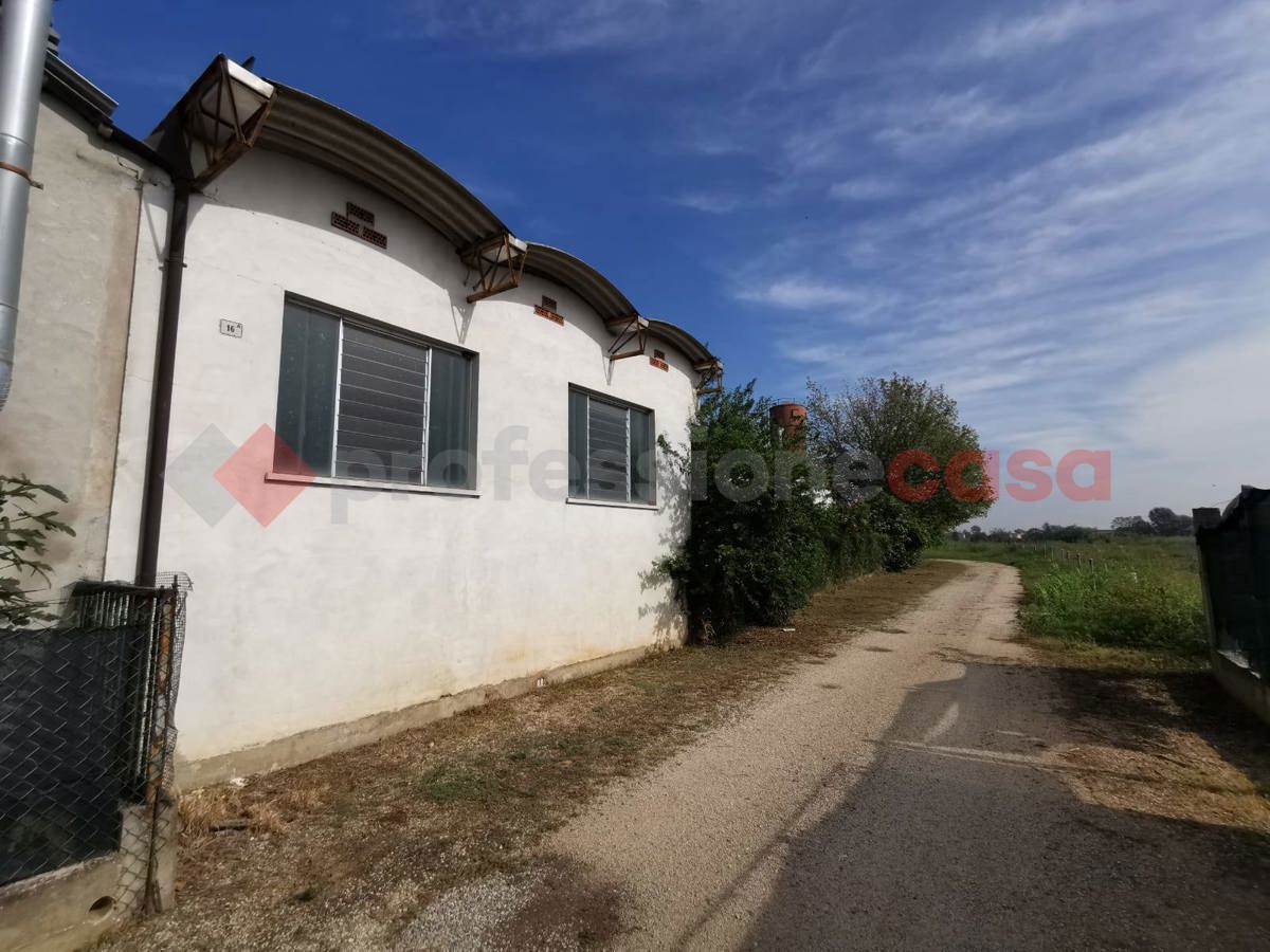 Capannone in vendita a Cerea