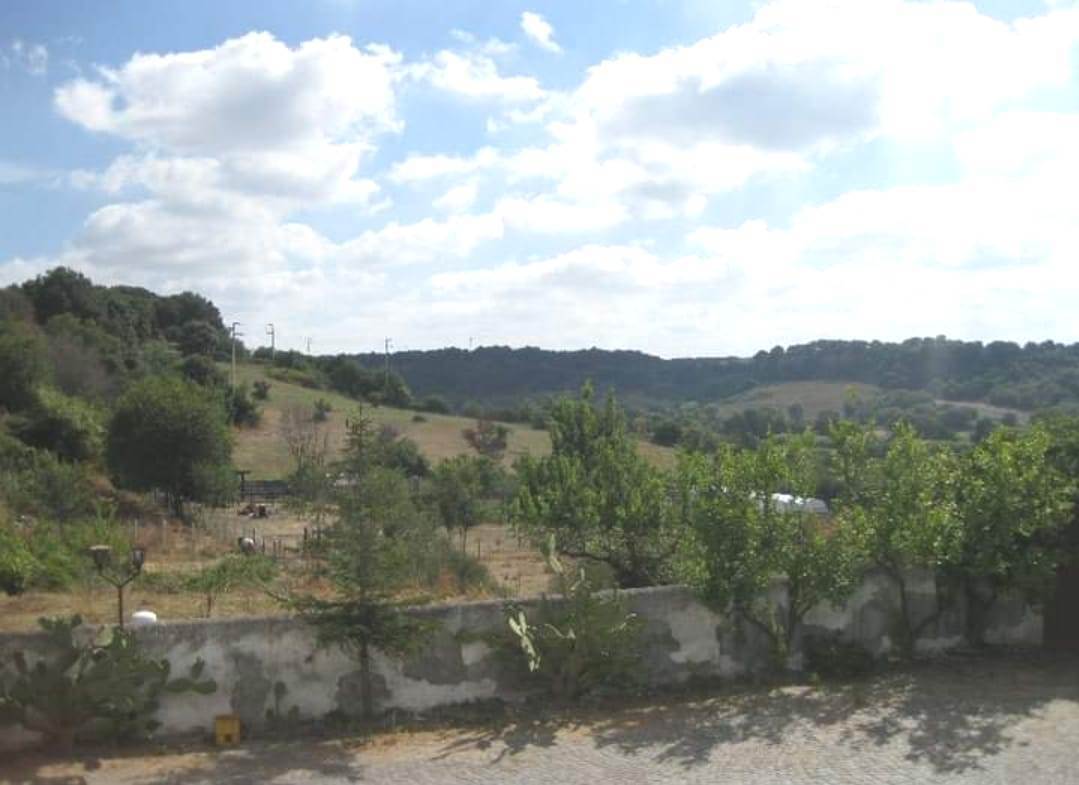Attivit� commerciale Albergo in vendita a Cerveteri