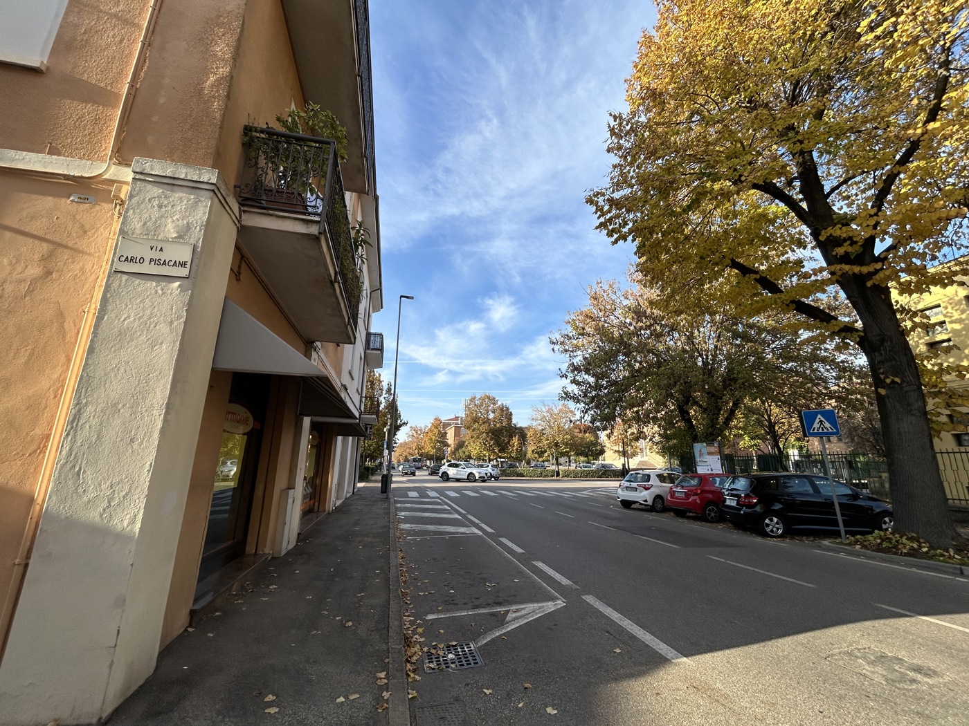 Negozio in affitto a Legnago