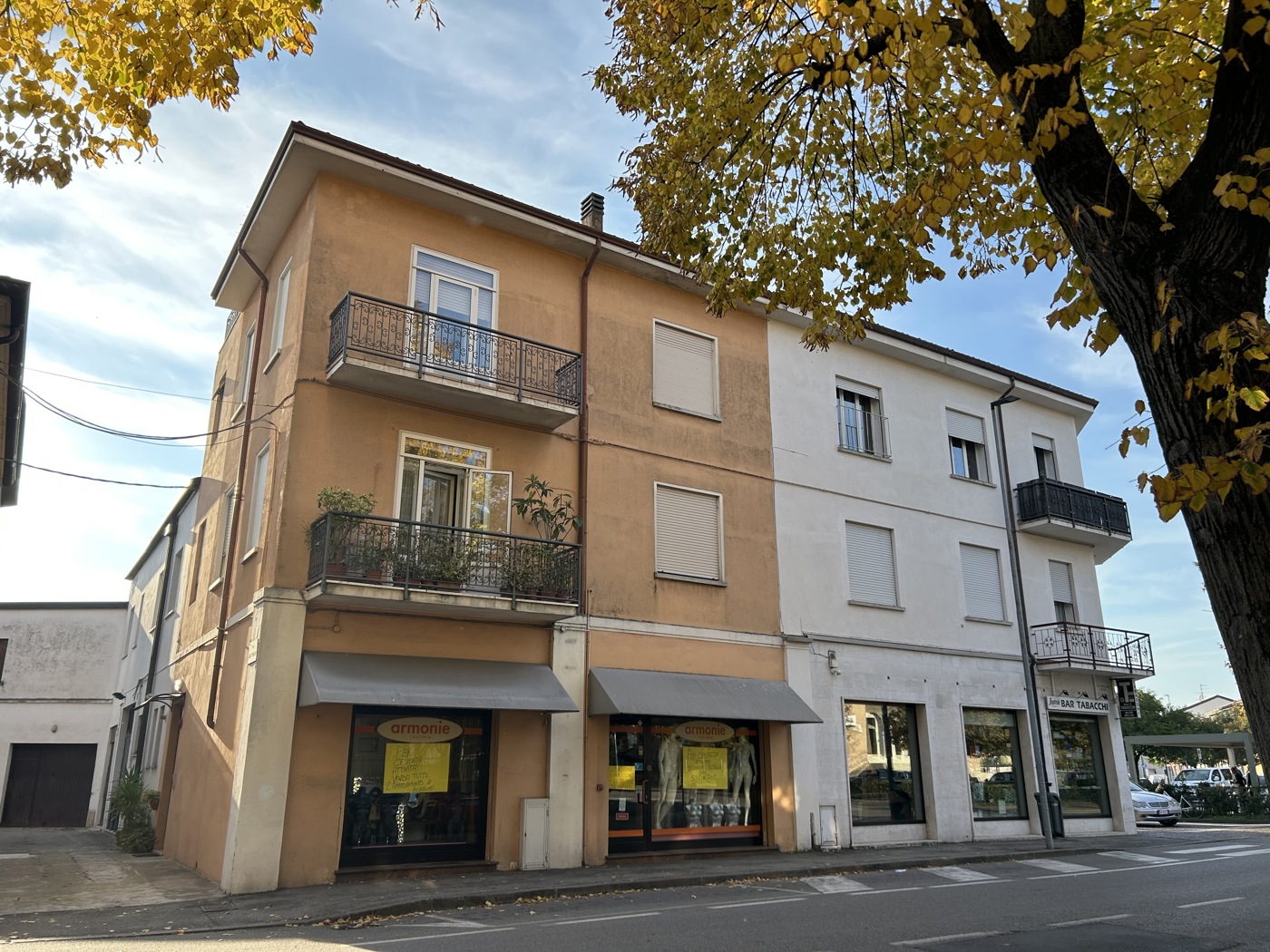 Negozio in affitto a Legnago