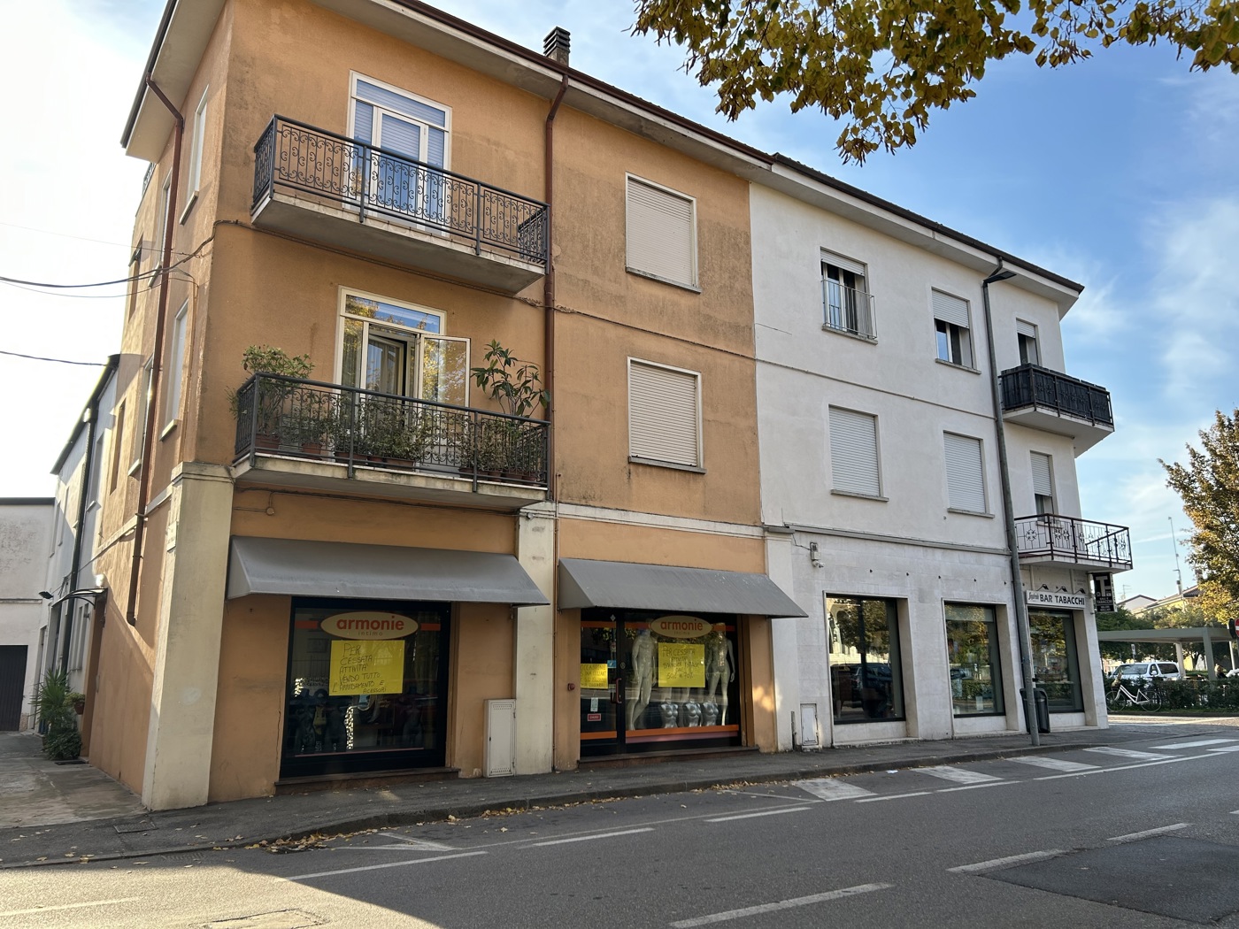 Negozio in affitto a Legnago